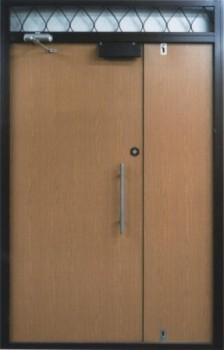 дверь_в_подъезд (8)