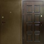Дверь для дома (12)